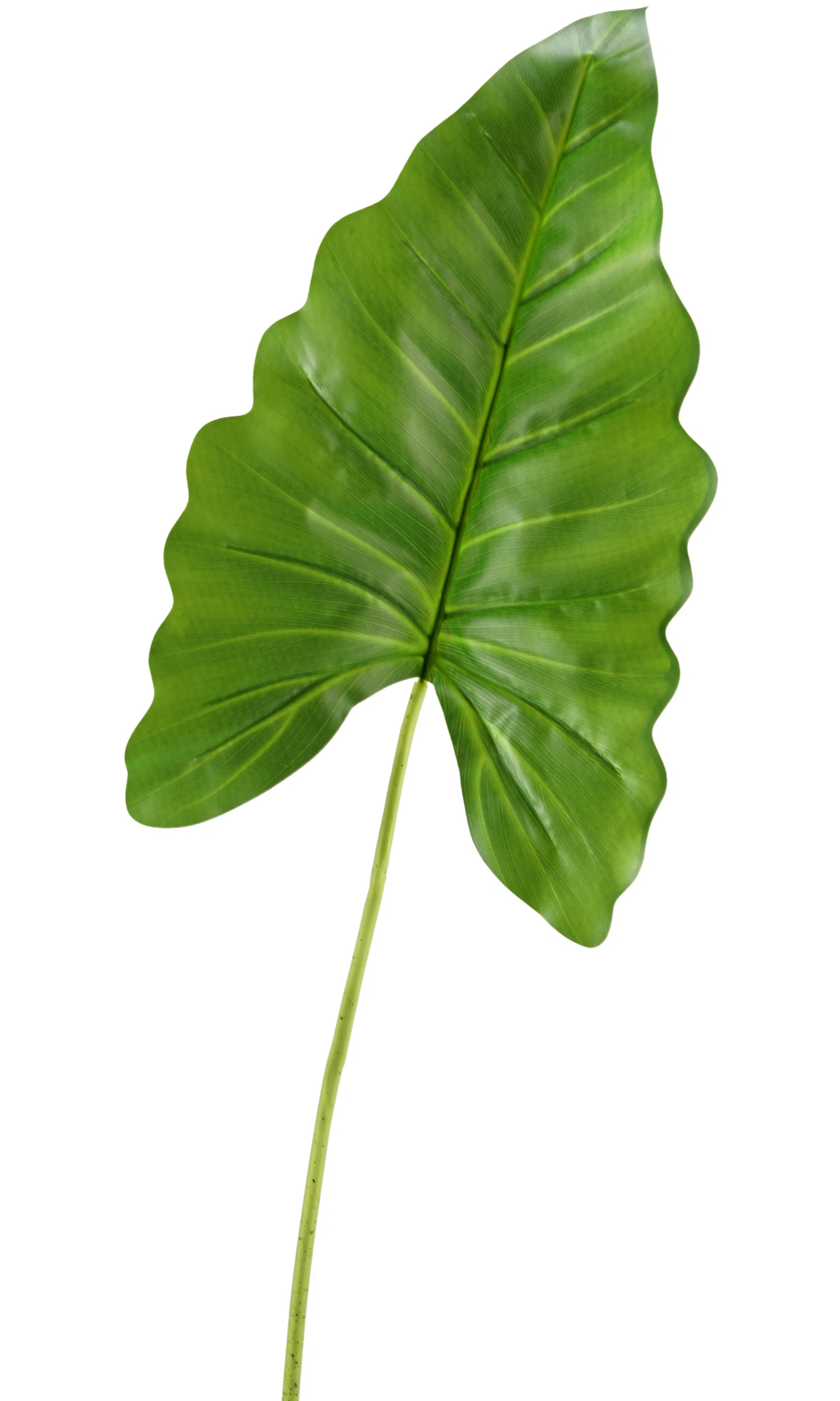 Bay Isle Home™ Jumbo Philo Leaf Stem & Reviews | Wayfair | Wayfair North America