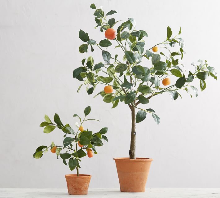Faux Potted Citrus Trees | Pottery Barn (US)