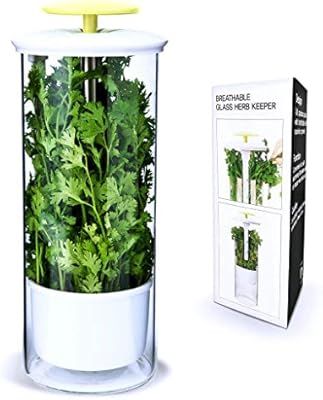 NOVART Premium Fresh Herb Keeper and Herb Storage Container – Glass Savor Preserver for Cilantr... | Amazon (US)