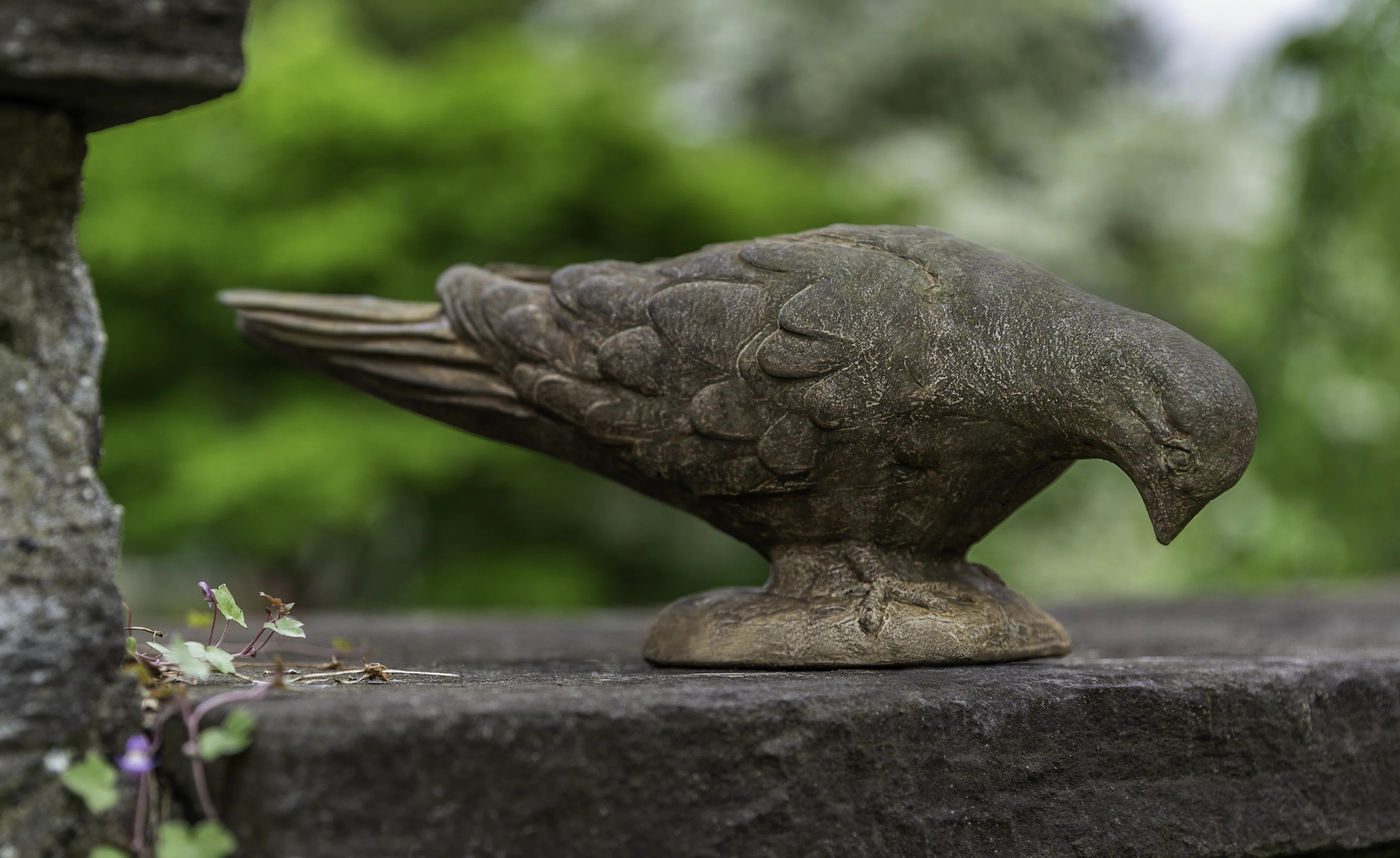 French Dove | Wayfair North America