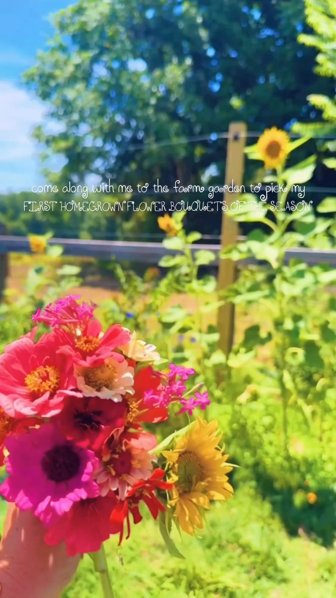 Living little Emily’s 👧 absolute dream 💭 come true these days y’all 🤭🪴🌻🐴💐🌾🌼🧺 #farmgarden #flowergarden #homegrownflowers 

Come along with me to cut my very first homegrown flower bouquets 💐of the season - aka my very very favorite 🤩 time of the year!!! ☀️ There is nothing I love more than picking homegrown flowers straight from my garden 🪴🫙🌸🌾 It has truly been so special watching the farm garden 👩‍🌾 of my dreams 💭 come to LIFE this summer!!! 🥰💐 So many blooms upon blooms 🌻🌼 and I just love it out here!! 😍

Nothings says summer solstice (the very first *official* day of summer 🌞 is tomorrow, y’all 🥳) like the very first bouquets and jars 🫙 filled with homegrown flowers 💐 to fill the sweet farmhouse with!! 🏡🌸🧺🥰 #officiallysummer #summersolsticeeve