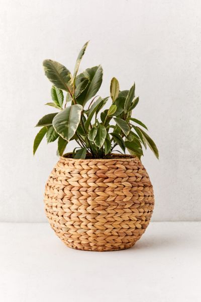 Wyn Woven 11" Planter Basket | Urban Outfitters (US and RoW)