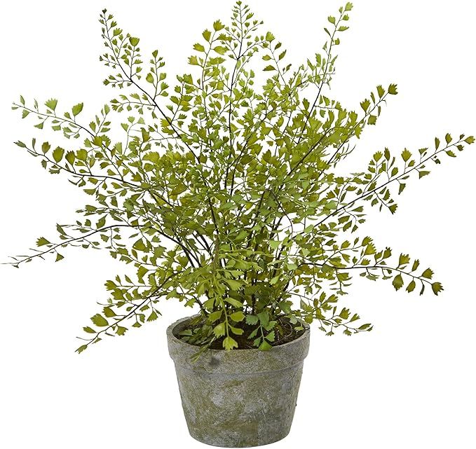 Nearly Natural Maiden Hair Artificial Plant in Planter | Amazon (US)