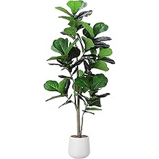 Artificial Fiddle Leaf Tree, 5ft Faux Plant Fake Ficus Lyrata Silk Trees with White Planter, Arti... | Amazon (US)