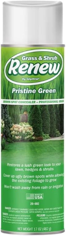 Seymour 20-602 Grass and Shrub Renew Spray Paint, Pristine Green, 17 oz. | Amazon (US)