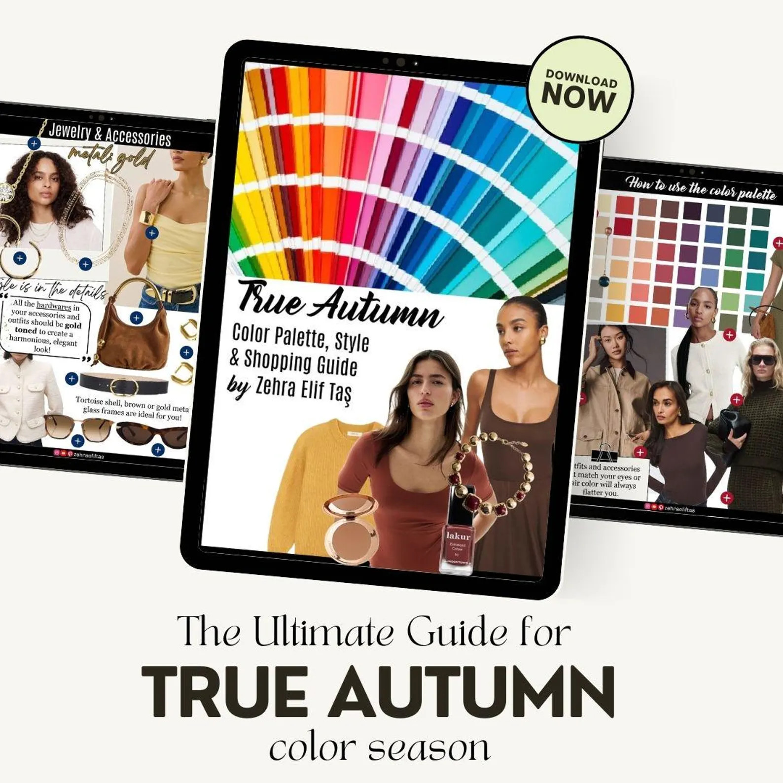 TRUE AUTUMN COLOR Palette, Makeup Palette & Style Guide by Personal Stylist True Autumn Seasonal ... | Etsy (US)
