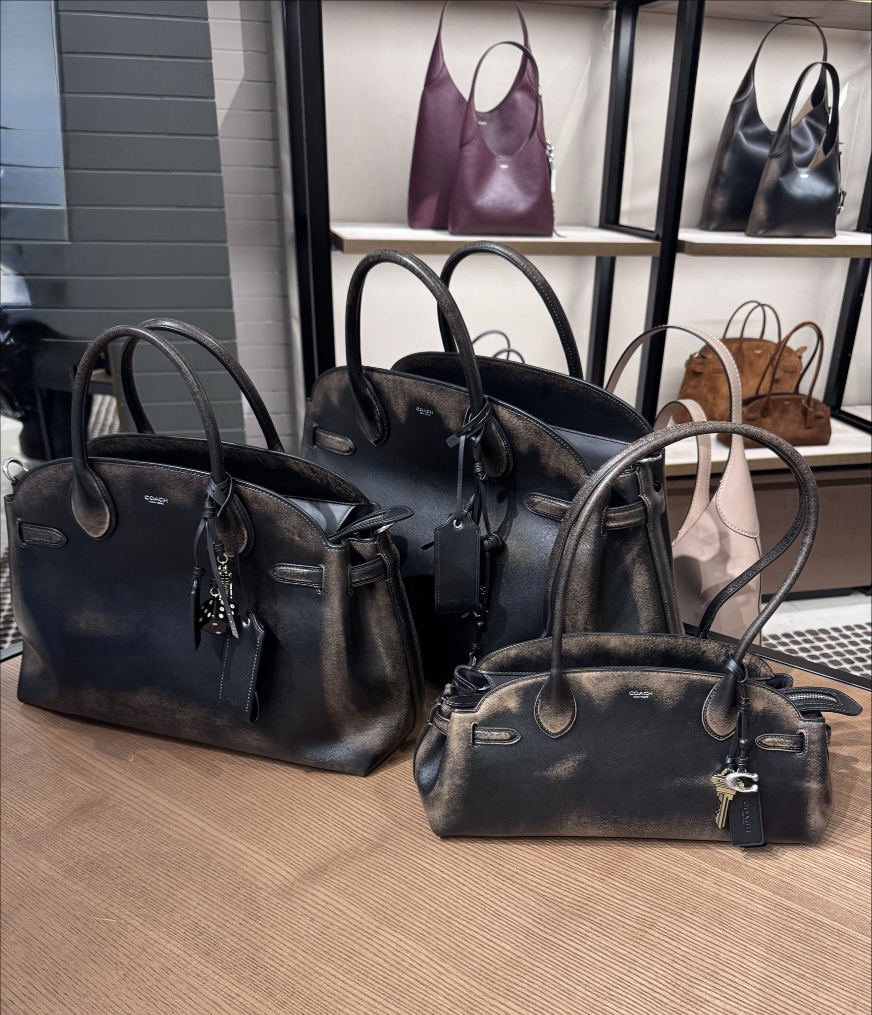 Coach Visit 

Brooklyn bag, coach bags, coach loved leather, coach leather bags, coach too handle bags, east west bags, crossbody bags, hobo bags, coach style

#LTKautumn #LTKTravel #LTKItBag