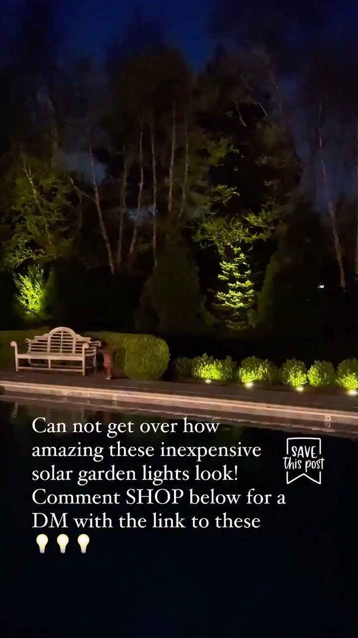 These $ solar lights just turned our yard into a whole vibe ✨🌙
Proof you don’t need to spend a fortune to make your space look THIS good at night. #landscape #homedecorideas 

Want the link? Comment LIGHTS 👇🏻