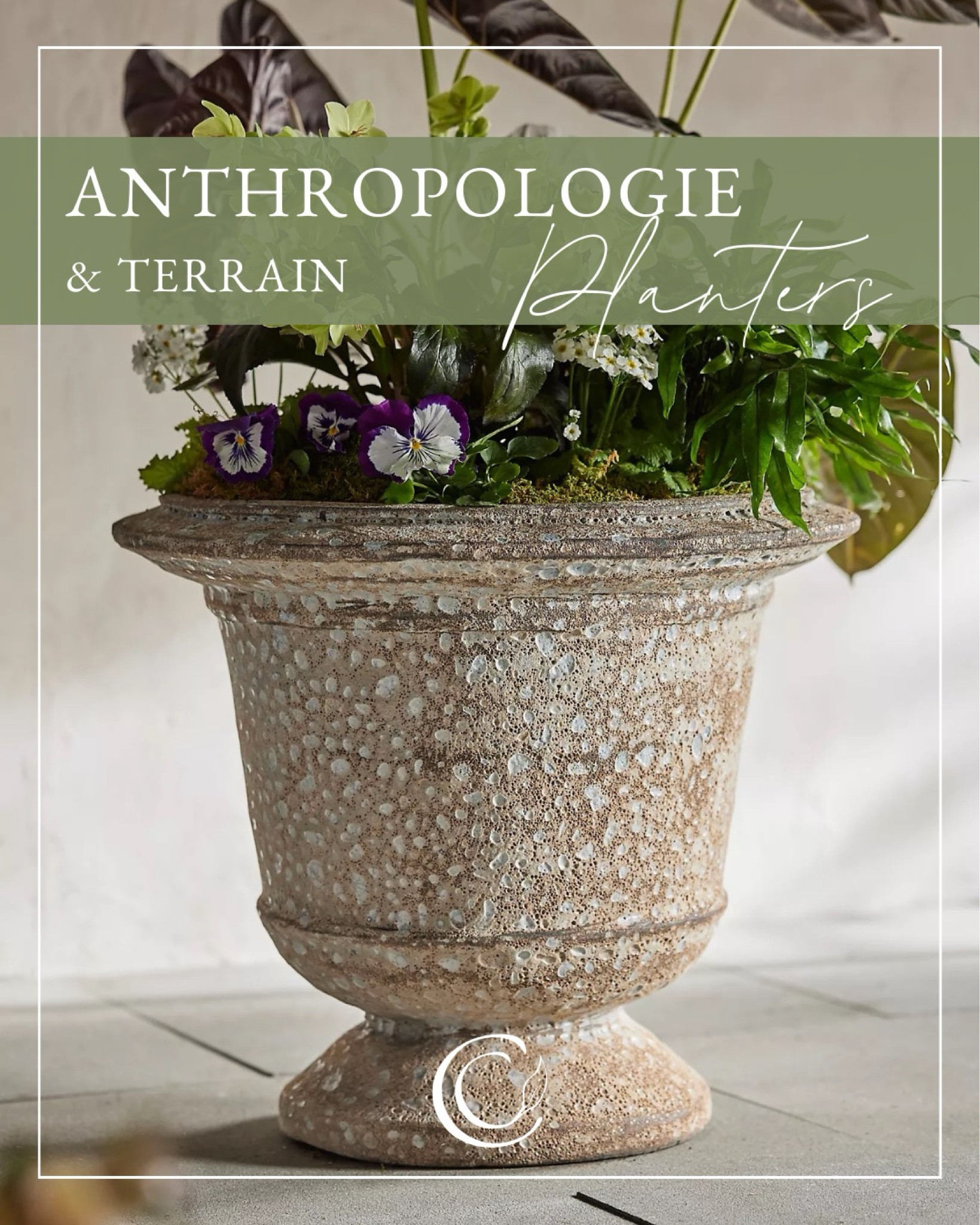 The elegance of an urn paired with a rustic barnacle finish 🤎 

#LTKSpringSale #LTKSeasonal #LTKhome
