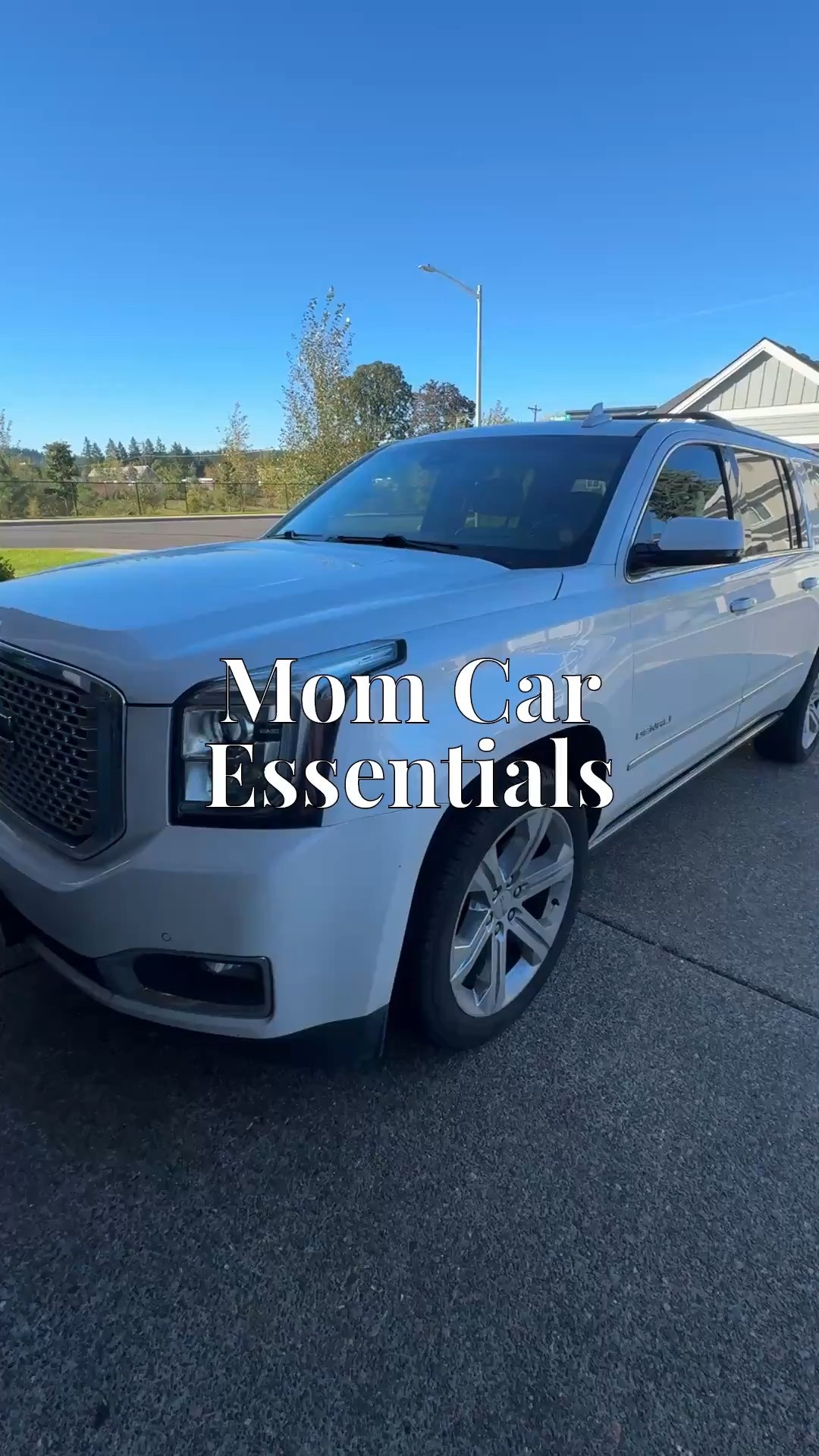 Resharing my “mom car” essentials as a busy mom of 5 🚙🚗

#LTKHome #LTKmomlife #LTKTravel