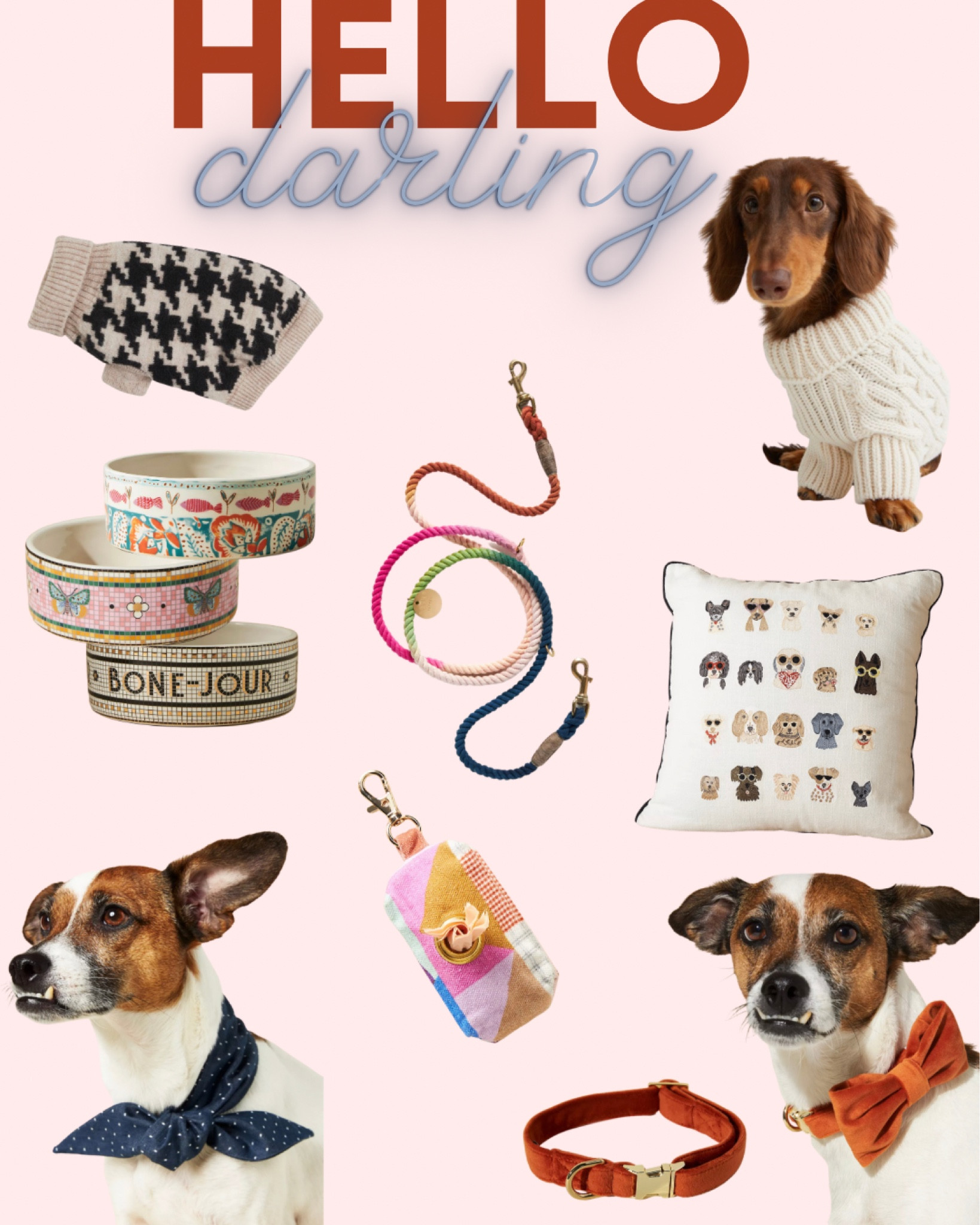 Animal lovers | dog sweaters | dog/cat bowls | velvet collar and bow tie perfect for fall! | colorful leash and the cutest poop bag holder that I ever did see! 

#LTKunder100 #LTKU #LTKunder50