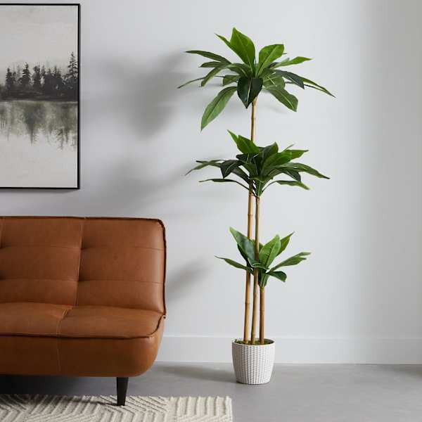 3-Head Bird's Nest Tree in White Planter, 5.5' | At Home