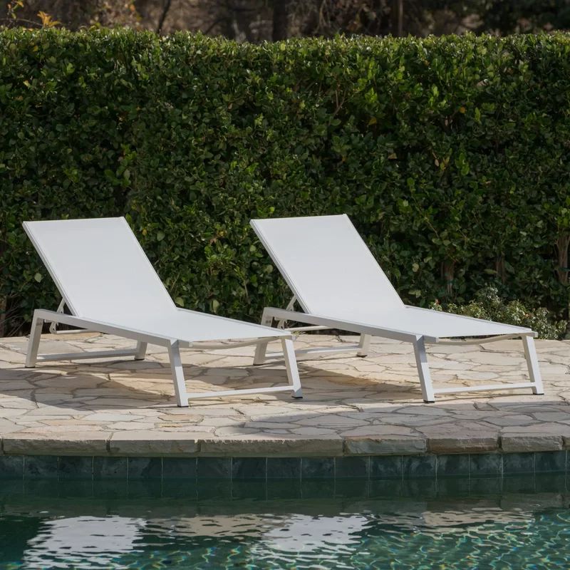 Petrie Outdoor Metal Chaise Lounge Set | Wayfair North America