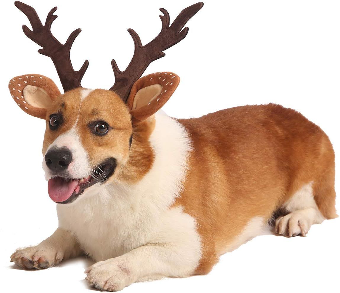Impoosy Pet Deer Costume Hat Merry Christmas Dog Antlers Headbands Elastic Band Adjustable Reinde... | Amazon (US)