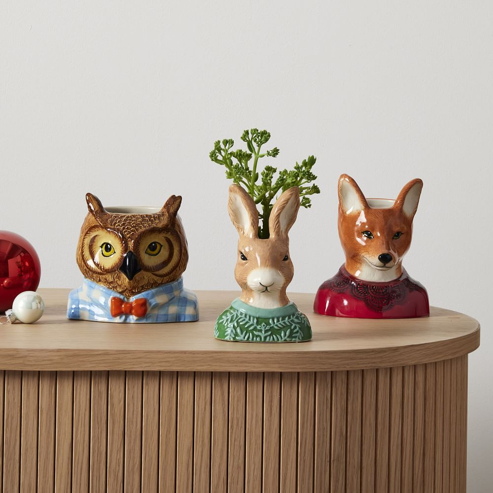 Dapper Tabletop Planter, Fox | West Elm (US)