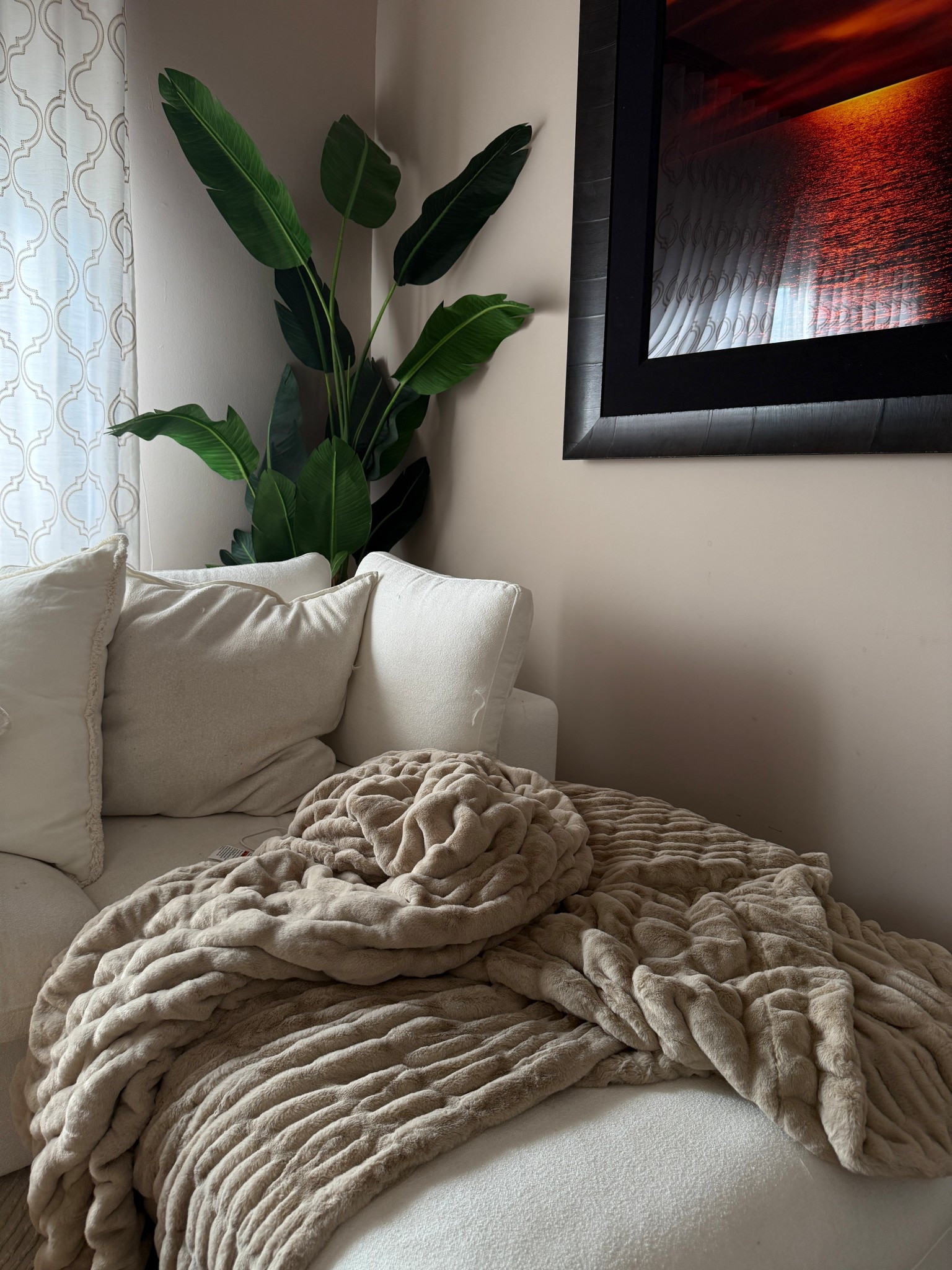 Lola blanket dupe for a fraction of the cost 💲 size 60x80 in beige 
 
 
Cost blankets, accent throws, fluffy blanket 

#LTKFindsUnder100 #LTKHome