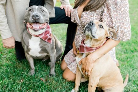 Fall family photos 📸

•dog bandanas, maternity photos, Mink Pink dress, dolce Vita western boot, bump style, pregnancy fashion, Amazon finds 

#LTKfamily #LTKbump