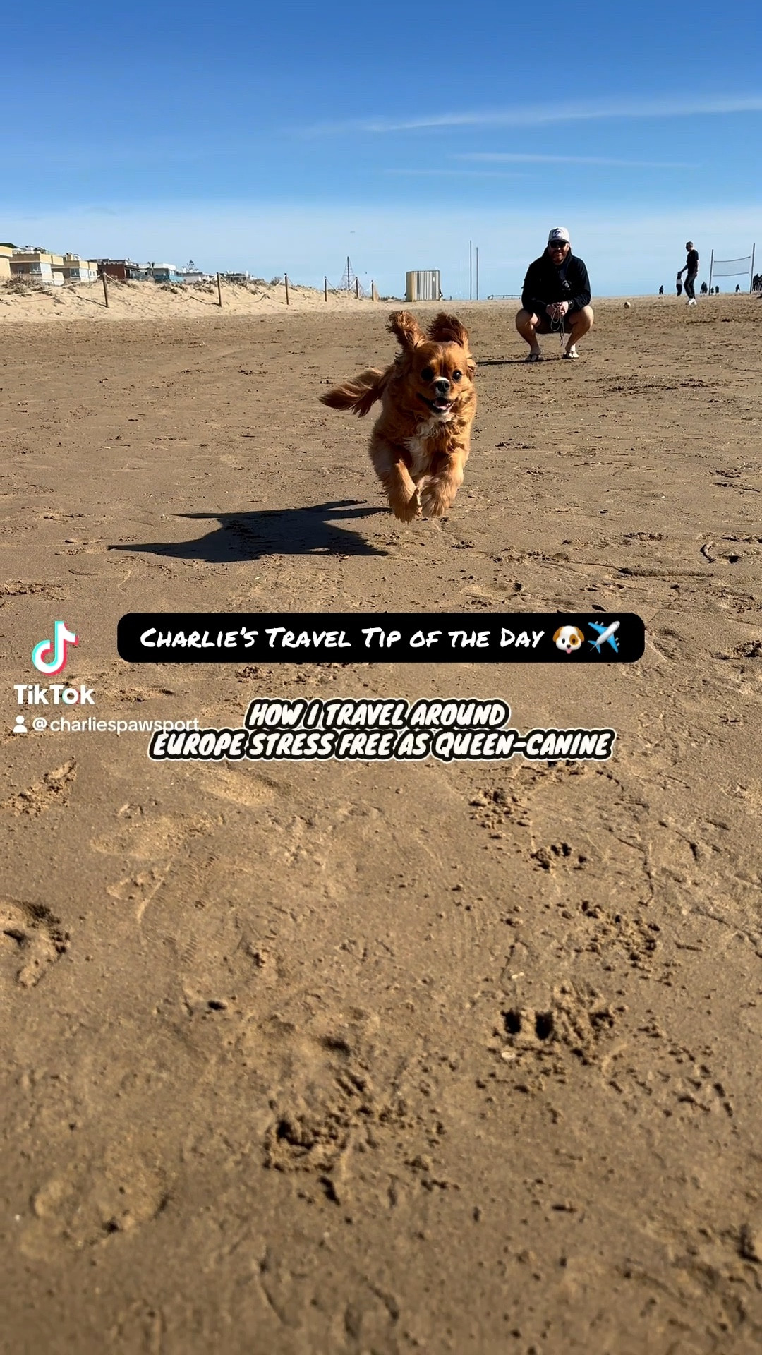 Traveling Europe with Charlie 🐾✈️🚆🚲

From the plane to trains, taxis, and bike rides, her carriers make it easy to bring her along for every adventure. Sharing the carriers that make traveling with your pup simple and comfortable—linked here.

• AWAY Travel Bags
• K9 SPORT SACK (currently ON SALE!)
• Service Animal Vest

Because exploring the world is better with your best friend. 🌍

#LTKTravel