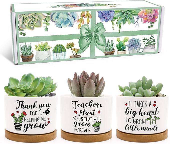 Teachers Gift for Women Men Teacher Appreciation Succulent Planters Pots Back to School Best Teac... | Amazon (US)