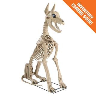 Home Accents Holiday 5 ft. Grave & Bones Skelly's Sitting Dog with LifeEyes™ LCD Eyes H22 25SV2... | The Home Depot