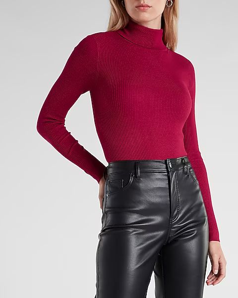 Ribbed Fitted Turtleneck Sweater | Express