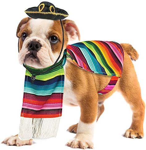 Skeleteen Mexican Serape Dog Costume - Cinco de Mayo Poncho and Sombrero Costumes for Pets (Size M)  | Amazon (US)