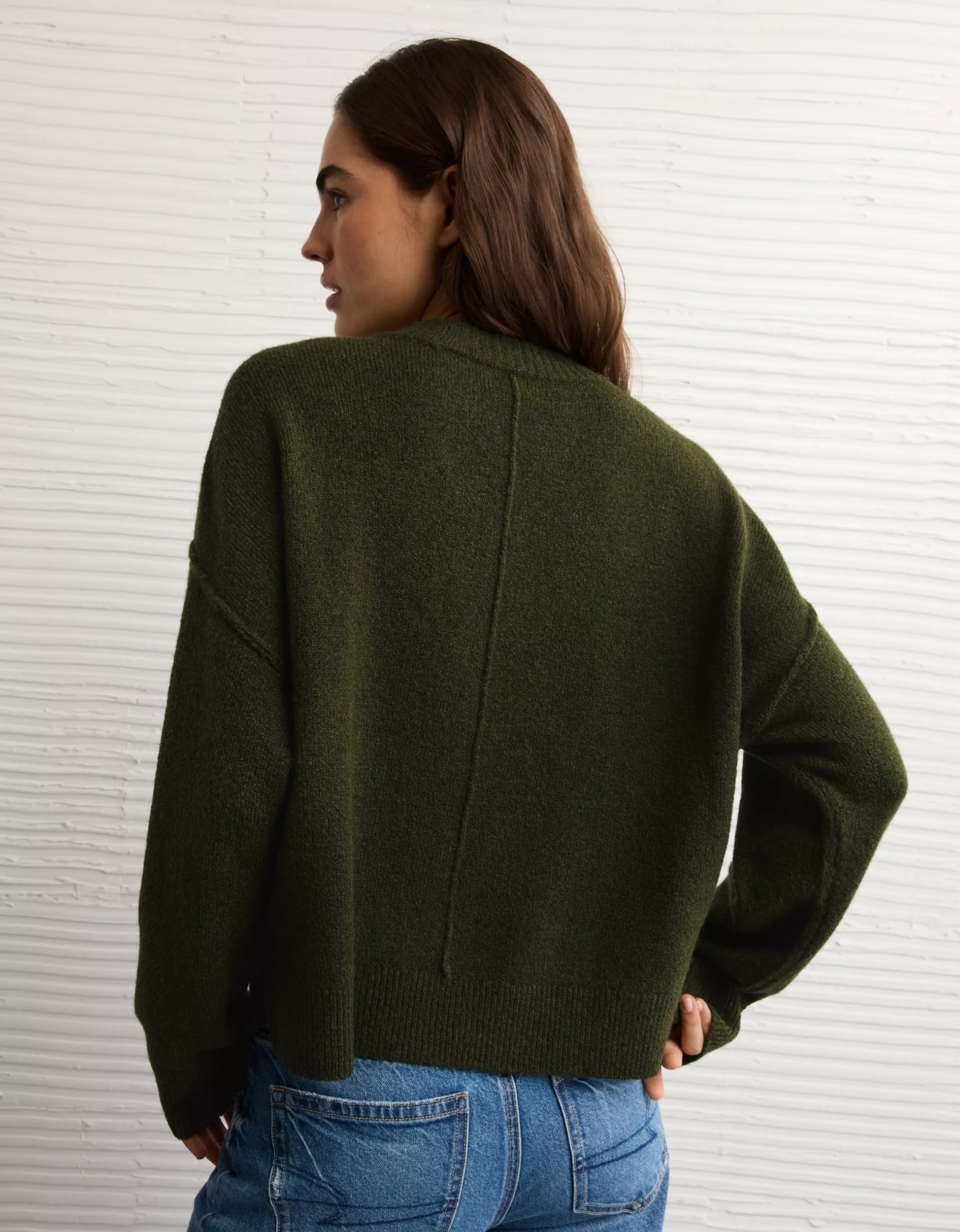 AE Whoa So Soft Classic Crew Neck Sweater | American Eagle Outfitters (US & CA)