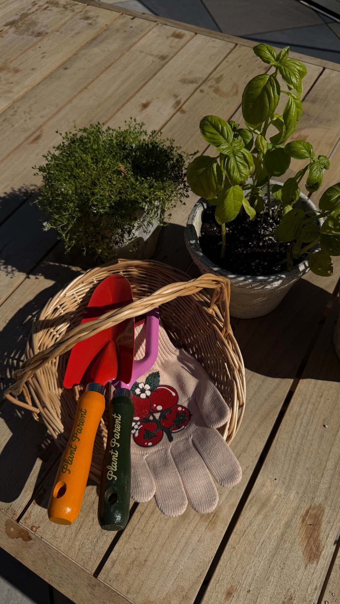 Garden essentials but make it cute

#LTKdayinmylife #LTKHome