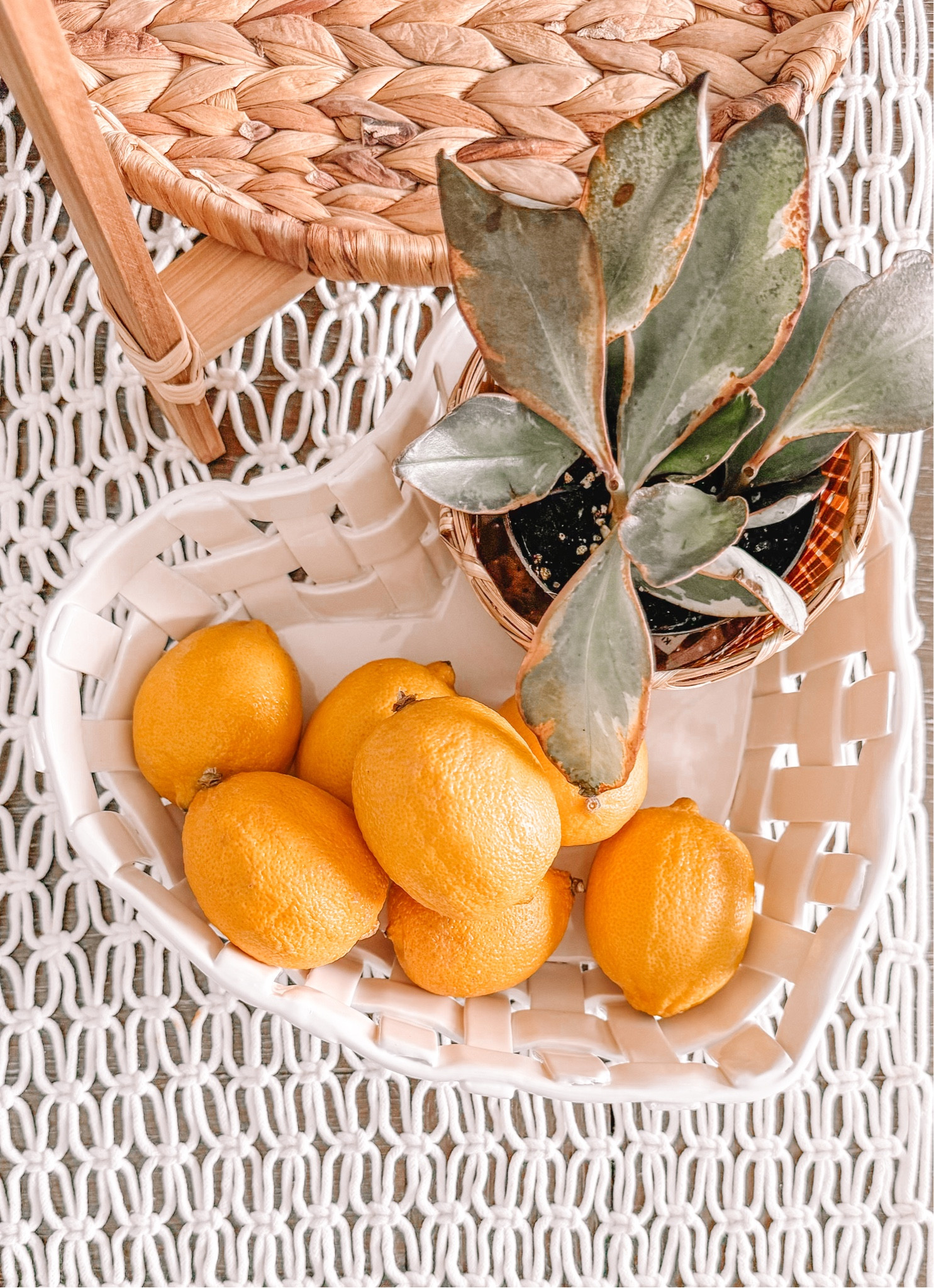 Demdaco 

#LTKSeasonal #LTKhome #LTKGiftGuide