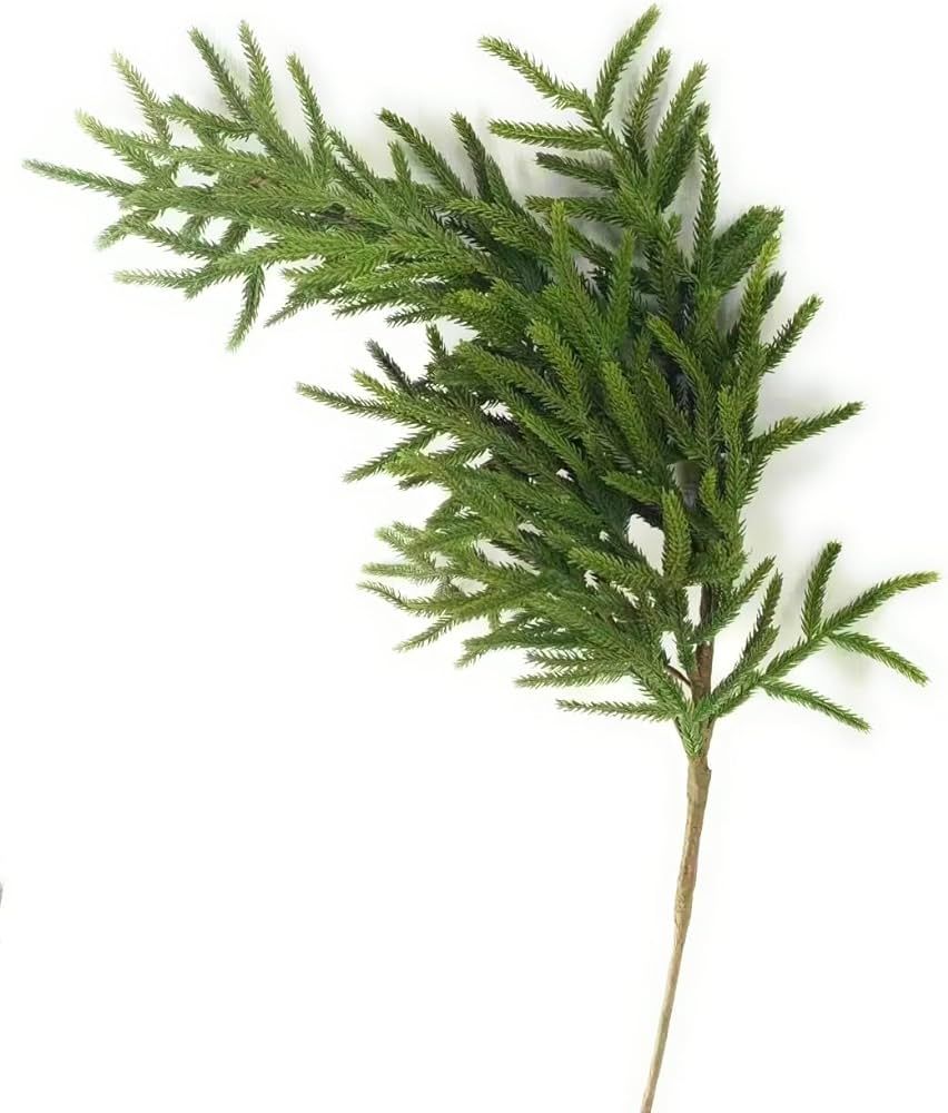 Norfolk Pine Branch -36" Tall Real Touch | Amazon (US)