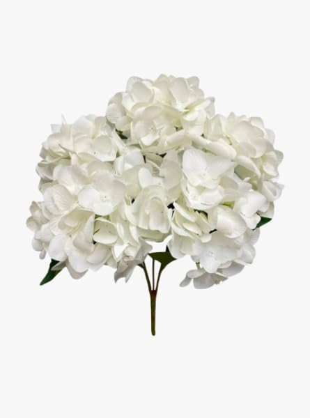 Bright White Real Touch Hydrangea Cluster, 20 inch | Amazon (US)