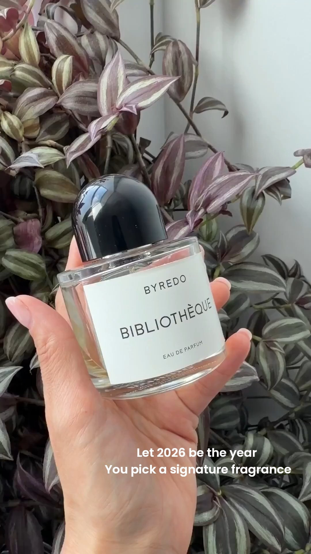 Warm, cozy, and quietly seductive — Bibliothèque Eau de Parfum is your signature scent for soft luxury and timeless allure 

 

#LTKValentine #LTKgrwm #LTKBeauty