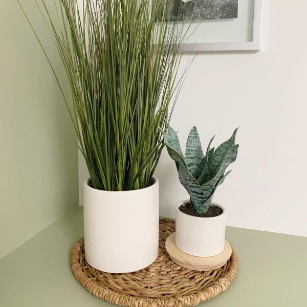 25" x 15" Artificial Onion Grass Arrangement in Ceramic Pot - Project 62™ | Target