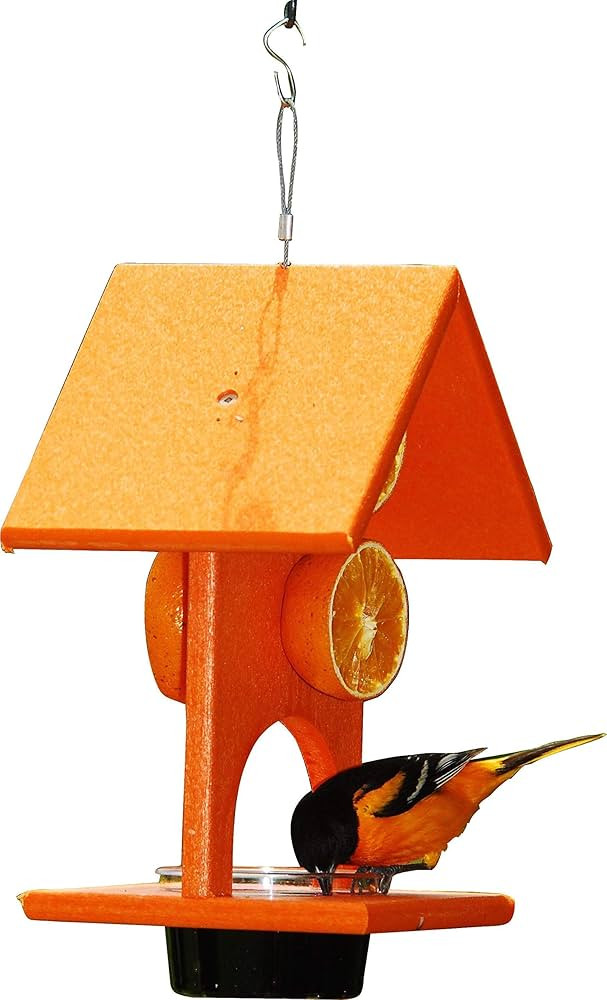 Songbird Essentials SERUBFJF Fruit and Jelly Oriole Feeder (Set of 1) | Amazon (US)
