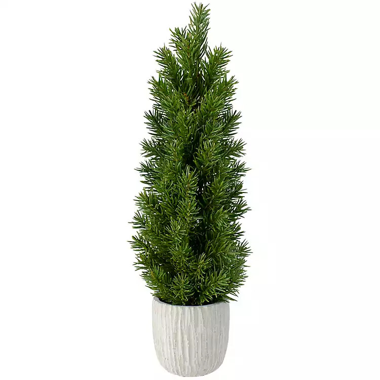 Stone Base Fir Mini Potted Christmas Tree | Kirkland's Home