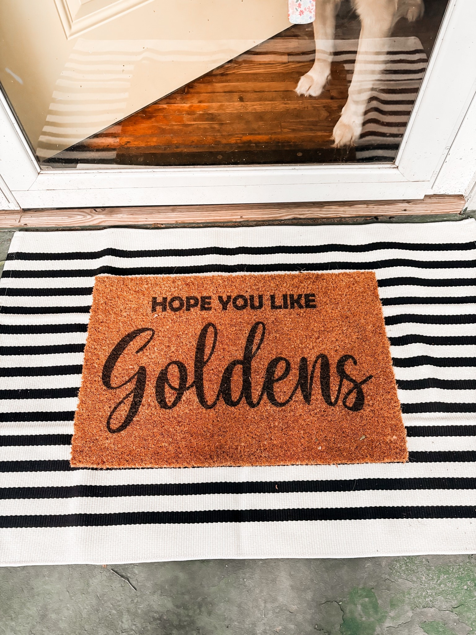 #LTKHome #LTKSeasonal #LTKPets