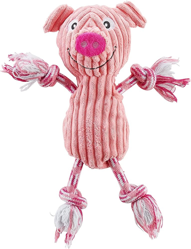Outward Hound by Charming Pet Ranch Roperz Pig Plush Squeaky Dog Toy | Amazon (US)