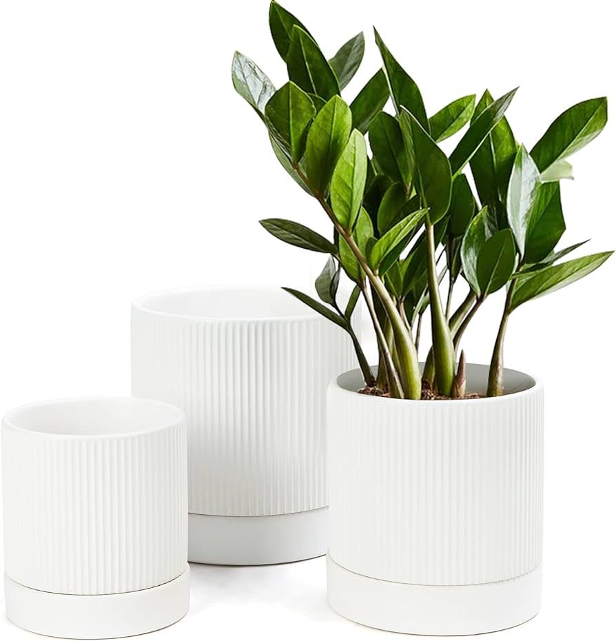 LaDoVita 3 Pack Ceramic Plant Pots 6/5/4 inch, Flowerpot for Indoor Plants with Drainage Holes an... | Amazon (US)