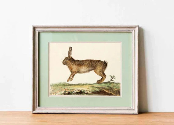 NatureDigitalStore | Etsy (US)