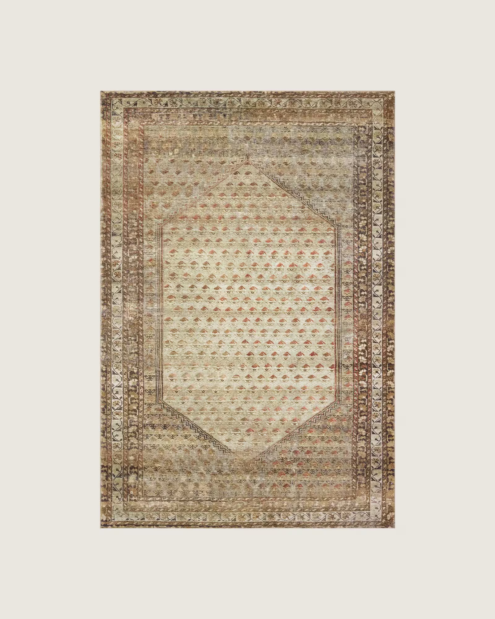 Zinnia CloudPile™ Printed Rug | Joon Loloi | Joon Loloi