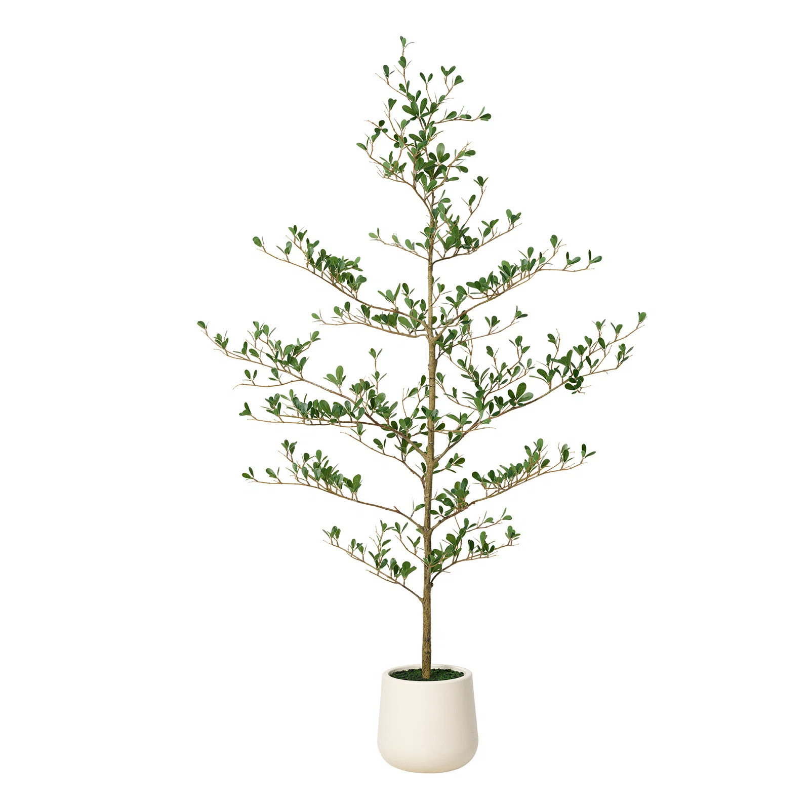 Adcock Faux Olive Tree, Fake Olive Tree with UV Protection for Indoor & Outdoor Decor | Joss & Main