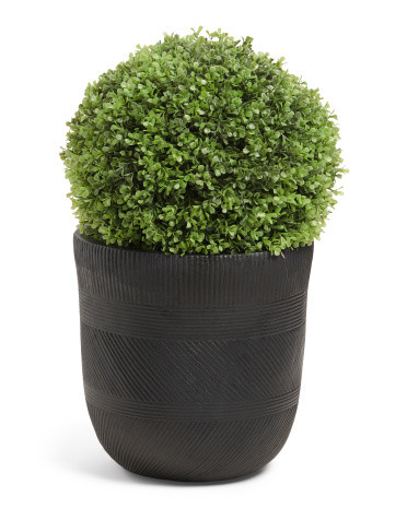 21in Outdoor Safe Boxwood In Planter | Home Essentials | Marshalls | Marshalls