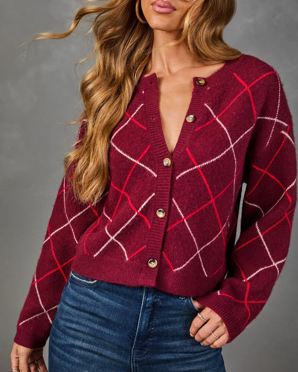Fall Ritual Knit Argyle Cardigan | VICI