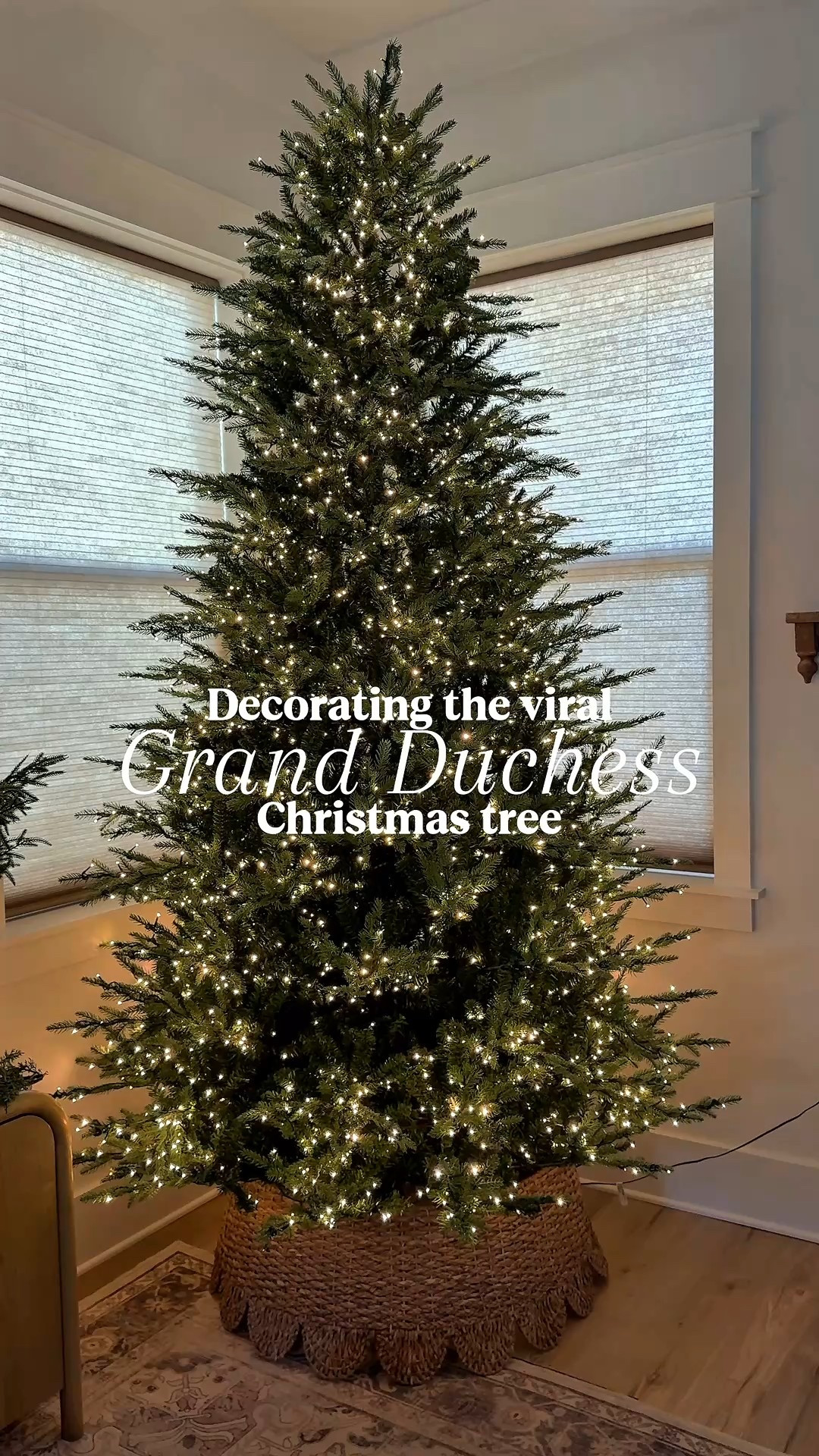 She’s stunning!🤩



#viraltree #christmastree #grandduchess #homedepottree

#LTKSeasonal #LTKHome #LTKHoliday