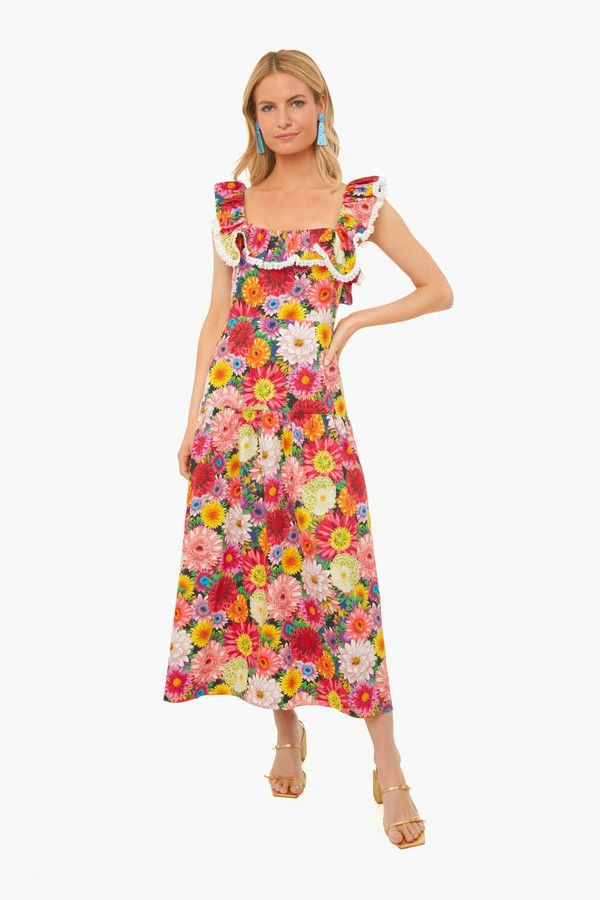 Jessie Over The Moon Dress | Tuckernuck (US)