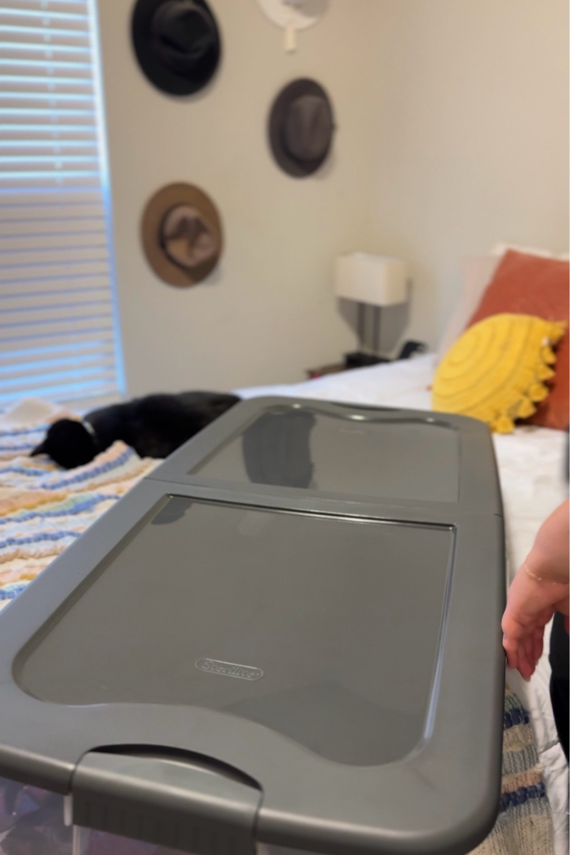 perfect for under bed storage!