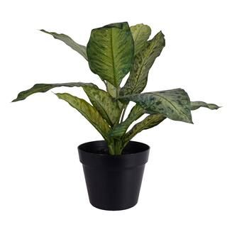 Evergreen Leaves in Black Pot by Ashland® | Michaels Stores