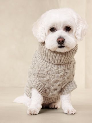 Oliver Cable-Knit Dog Sweater | Banana Republic (US)