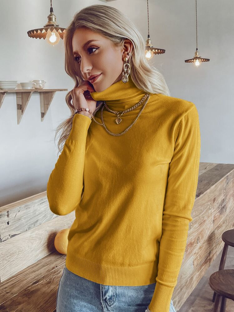 Simplee Solid High Neck Knitted Sweater | SHEIN
