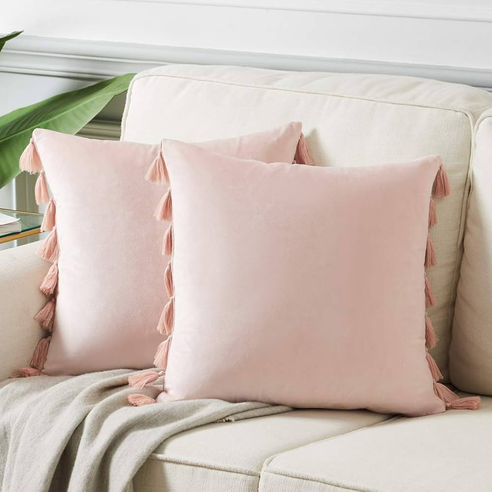 Fancy Homi Pack of 2 Cute Decorative Throw Pillow Covers with Handmade Tassels, Soft Velvet Peach... | Amazon (US)